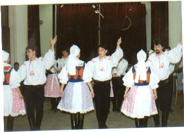 háječek 3.jpg